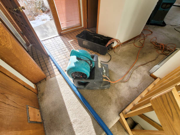 Best Residential Water Damage Restoration in Tillson, NY